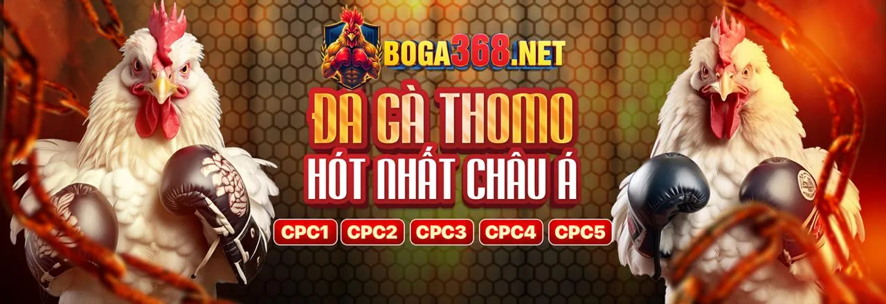 Trung tâm trợ giúp tdtc casino, hỗ trợ khách hàng