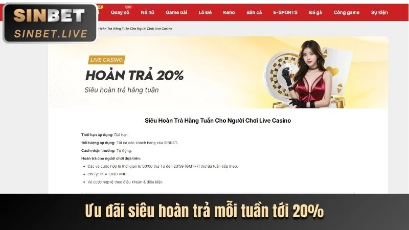 Các loại khuyến mãi và thưởng tân thủ tại TDTC Casino